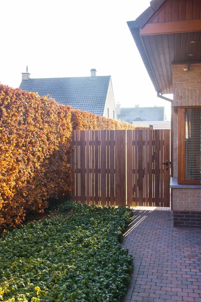 vario tuinscherm afrormosia