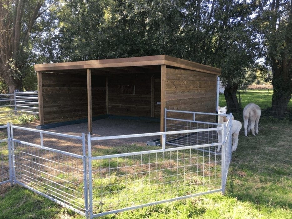 Alpaca schuilstal met klassiek blokhutprofiel